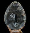 Septarian Dragon Egg Geode - Black Crystals #72049-2